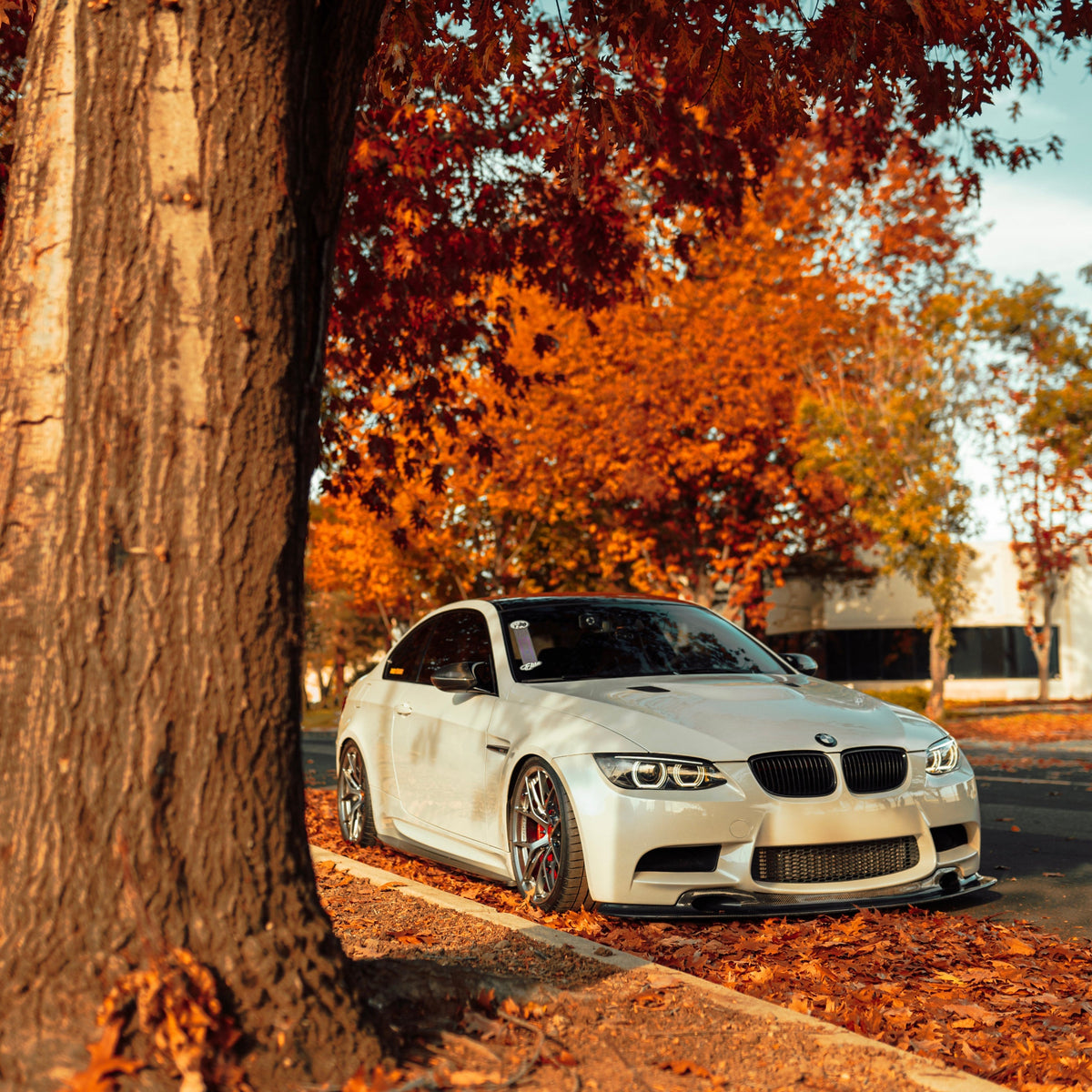 AlpineX Dynamics GT4 Style V1 Longer Carbon Fiber Front Splitter For BMW E9X M3