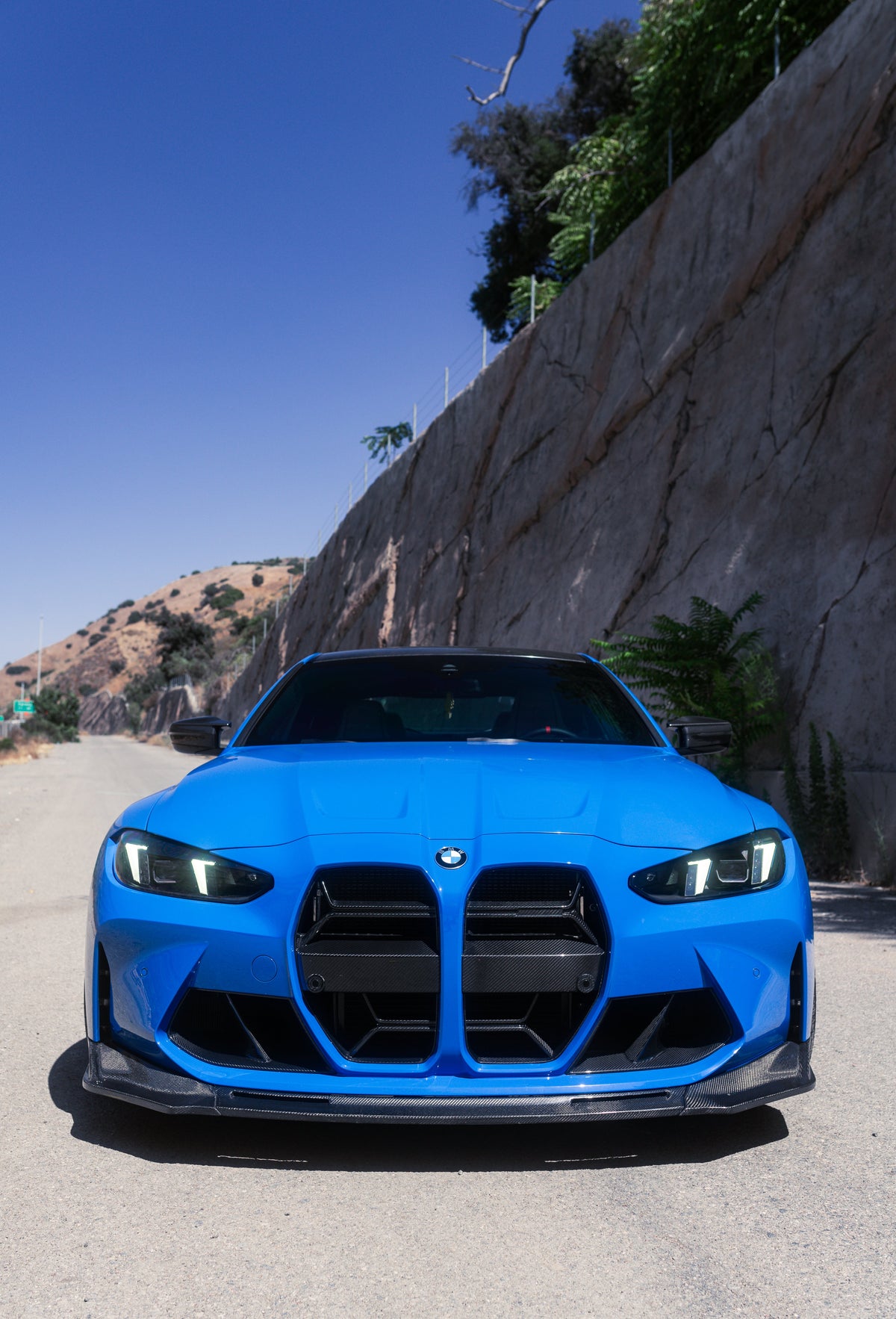 AlpineX Dynamics CSL Style Pre-preg Dry Carbon Fiber Grille For BMW G8X M3 M4