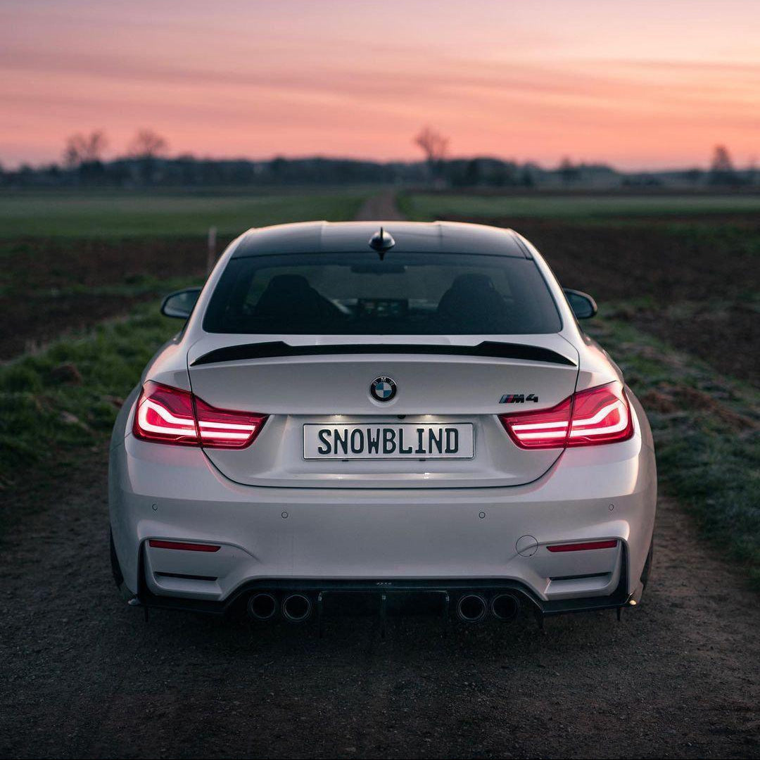 AlpineX Dynamics CS Style Carbon Fiber Rear Spoiler For BMW F80 F82 F83 M3 M4