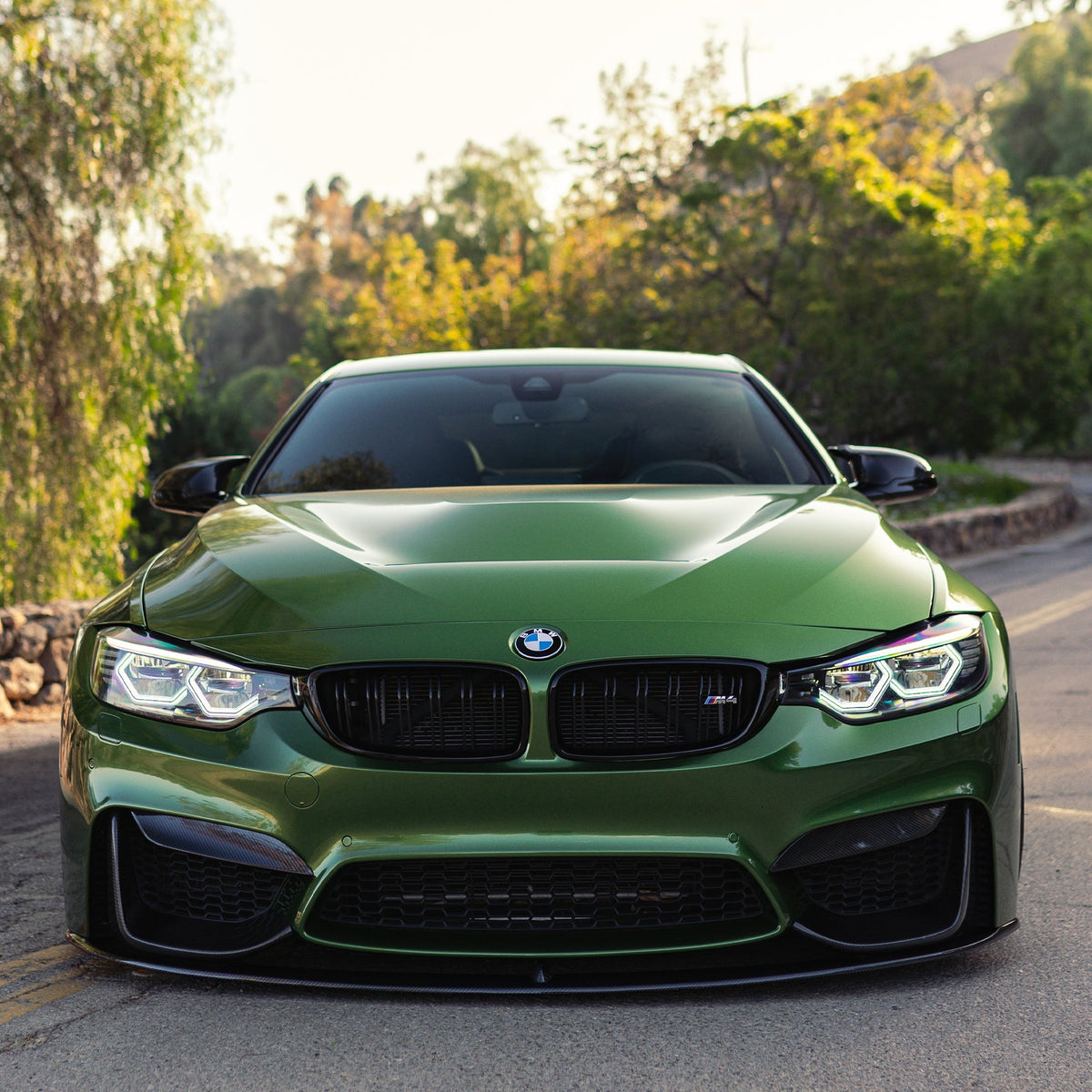 AlpineX Dynamics MP Style Carbon Fiber Front Lip For BMW F8X M3 M4
